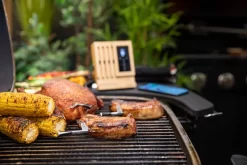 MEATER Block Met 4 Draadloze Thermometers -Buiten koken Winkel 1o5a6257