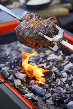 Everdure Fusion Houtskool Barbecue -Buiten koken Winkel 900 600 brand shoot heston blumenthal 5