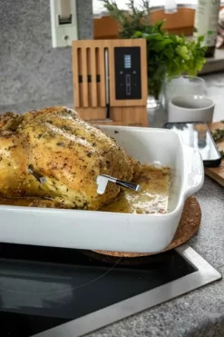 MEATER Block Met 4 Draadloze Thermometers -Buiten koken Winkel img 7944